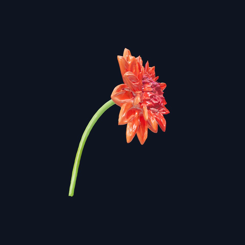 Realistic Flower Model Pack for Visual Environments